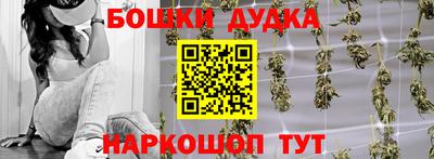 спиды Дубна
