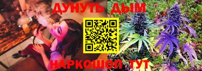 спиды Дубна