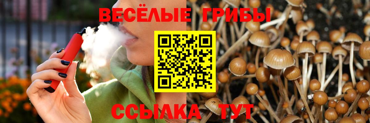 Псилоцибиновые грибы мицелий Моршанск