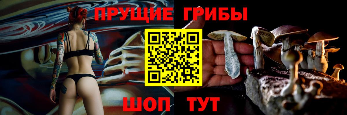 Моршанск  Псилоцибиновые грибы MAGIC MUSHROOMS  Галлюциногенные грибы Psilocybe  Вход с VPN 